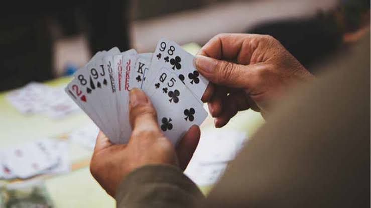 Bản chất của việc báo Sâm và áp lực tâm lý đổi đời