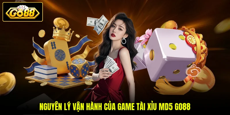 Tổng Quan Về Tài Xỉu MD5 Go88